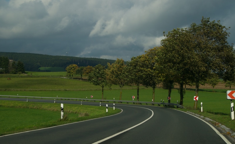 traffic accident, traffic regulations, asphalt, security, transportation, curve, delineator posts, tree, outdoors, away, environment, growth, drive, road