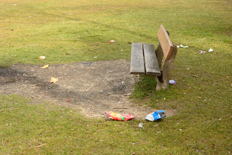 plant, bench, green color, wood - material, broken, bank, tree, no people, nature, absence, garbage, high angle view, human, pollution, dirt, household waste
