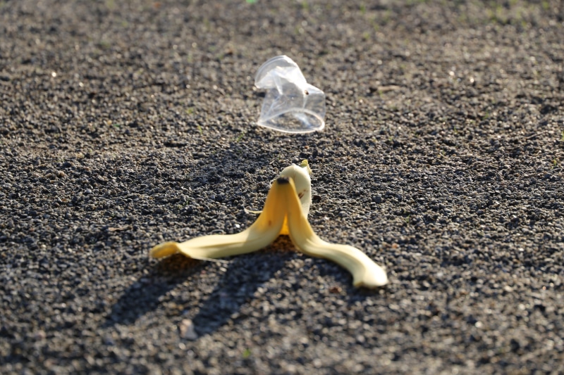 freshness, still life, sunlight, day, sign, outdoors, melting, decay, rotten, land, peel, ecology, food and drink, garbage, sand, trash, 5K, recycling