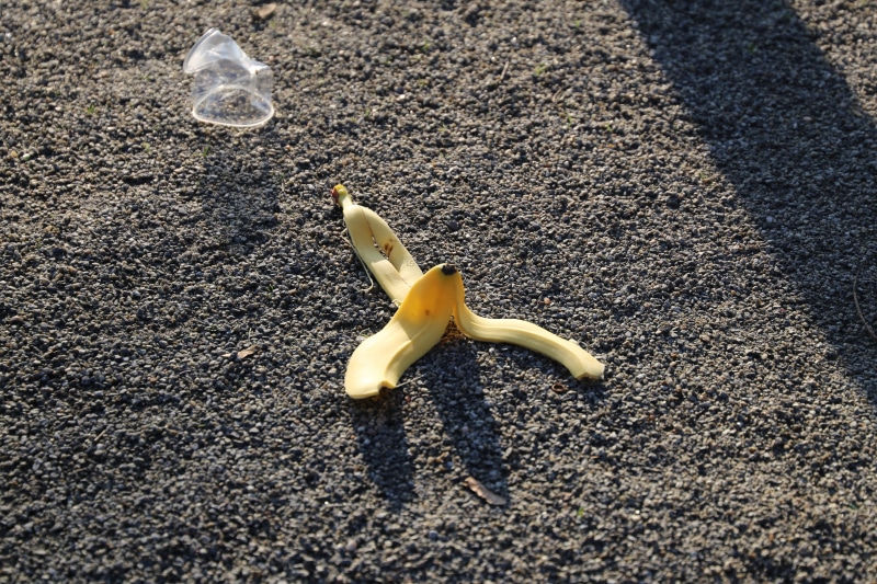 trash, industry, misfortune, land, banana peel, asphalt, garbage, day, outside, city, dirt, pollution, polluted, rubbish, careless, decay, sunlight, dangerous