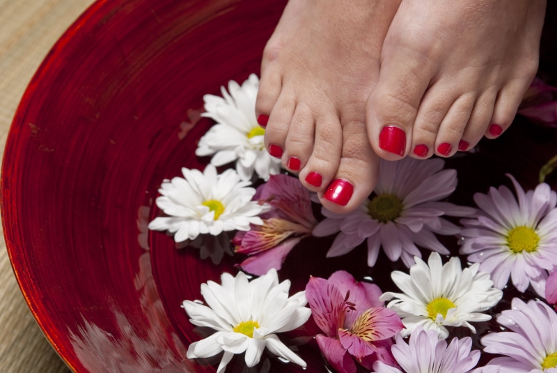 fragility, flower head, person, human hand, foot, toe, petal, showing, treatment, nail, woman, human body part, feet, close-up, manicure, plant, nature