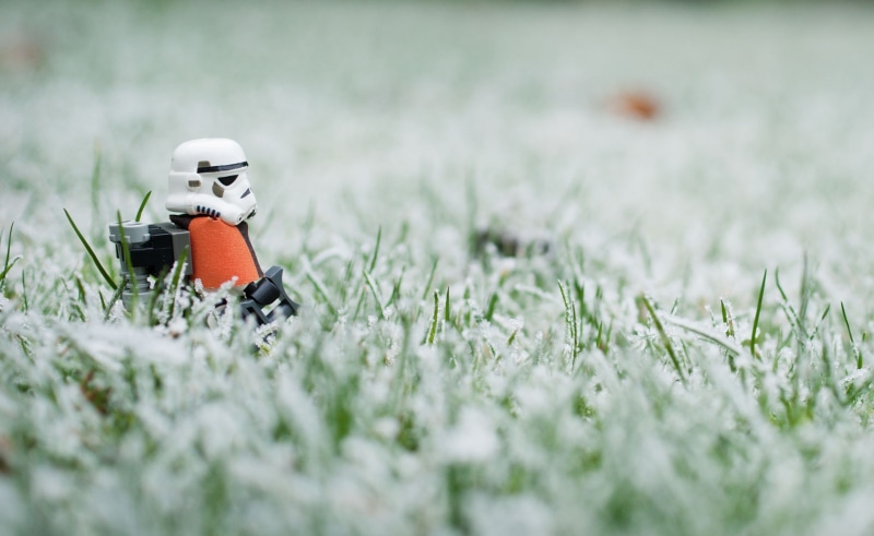 outdoors, cold temperature, Games, Frost, Lego, growth, beauty in nature, star, Star Wars, selective focus, winter, no people, wars, nature, Grass, day