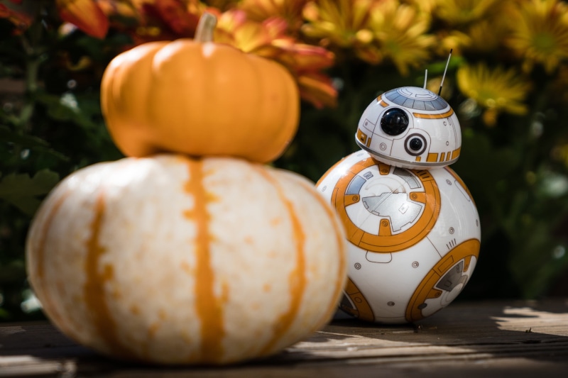 2K, day, celebration, wellbeing, figurine, vegetable, close-up, white, red, food and drink, pumpkin, no people, art and craft, ceramic, holiday - event