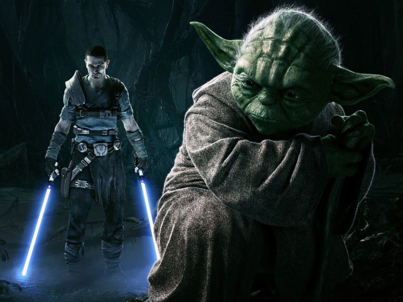aggression, headwear, family, women, men, government, master, representation, portrait, Yoda, indoors, two people, mid adult men, male likeness, Star Wars: The Force Unleashed
