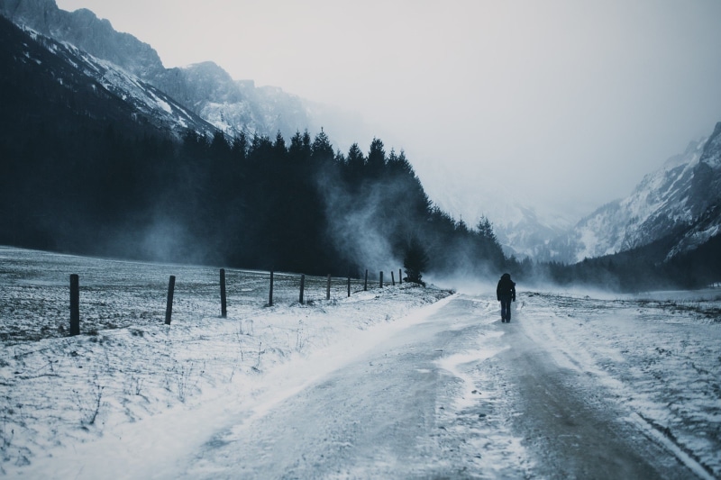 cg, art, 1080P, trees, d, Pine Trees, mountain, hd, x, abstract, px, 2048x1365 px, pine, snow, road