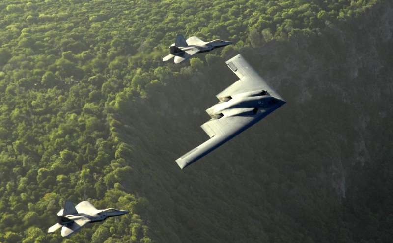 stealth, Northrop Grumman B-2 Spirit, nature, Aircraft, jets, Bombers, two, animals in the wild, Airplane, Military, fighter, high angle view, animal, water