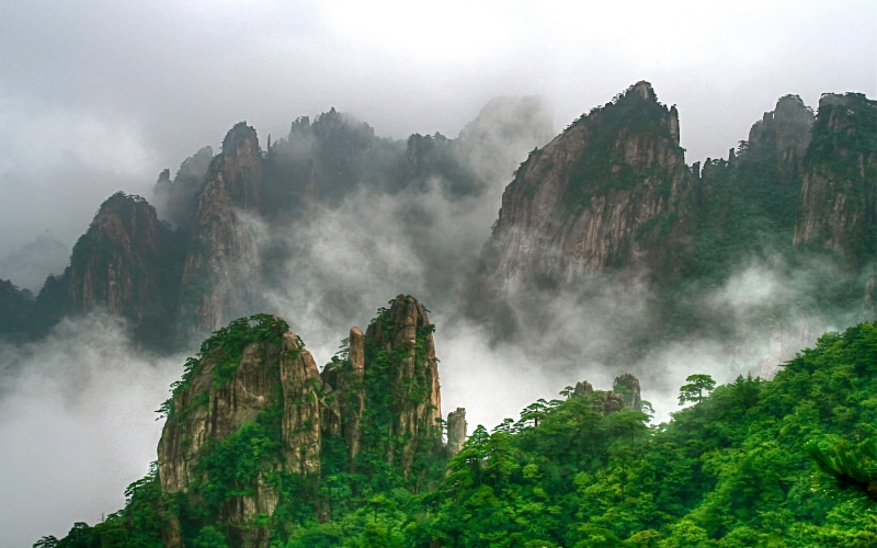 china, pine, hd, pink, southern, huangshan, 4K, landscape, anhui, province, mist, trees, mountain, sharp, eastern, range, nature, evaporation