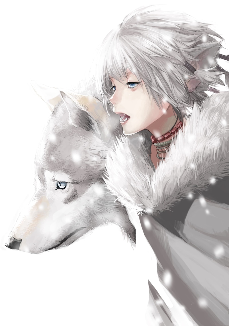 lifestyles, 2K, one person, young women, wolf, mammal, pets, young adult, vertebrate, studio shot, gray hair, animal ears, anime boy, women, leisure activity