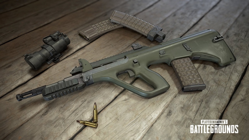 government, rifle, security, aggression, PlayerUnknowns Battlegrounds, gun, wood - material, variation, crime, handgun, social issues, sign, Video Game