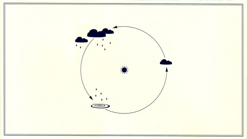 water cycle, transfer print, infographics, nature, cycle, 1080P, animal, vertebrate, geometric shape, no people, rain, circle, minimalism, animal themes