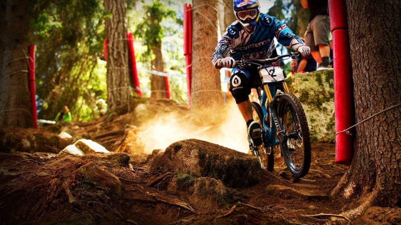 people, sport, nature, men, riding, helmet, mode of transportation, real people, tree, day, bicycle, land vehicle, 2K, outdoors, lifestyles, ride, land