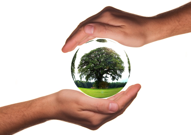 human, ball, global, globe - Man Made Object, cut out, one person, human Hand, planet - Space, hand, finger, planet, fragile, globalization, human body part