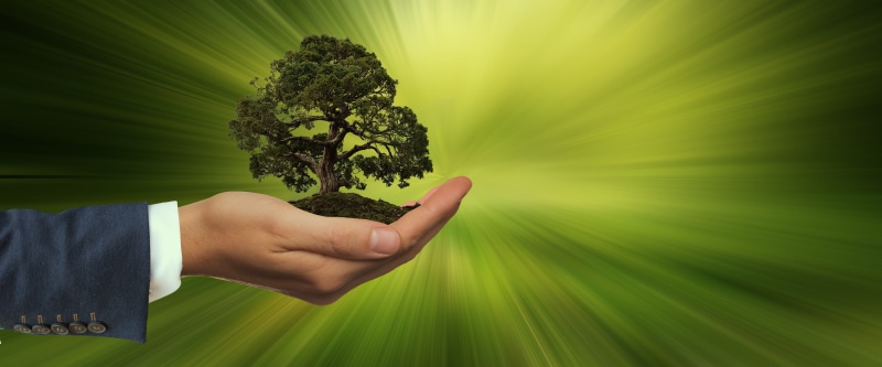 together, care, humanity, ecology, human body part, globe, electricity production, tree, environment, plant part, outdoors, forward, holding, one person
