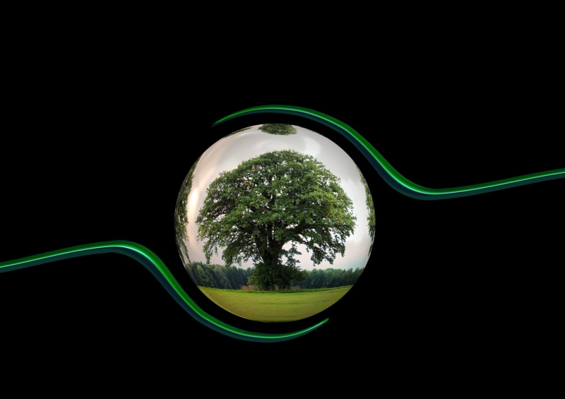 globalization, eco, copy space, healthy eating, environment, still life, green, global, leafed, globe, no people, green color, responsibility, protection