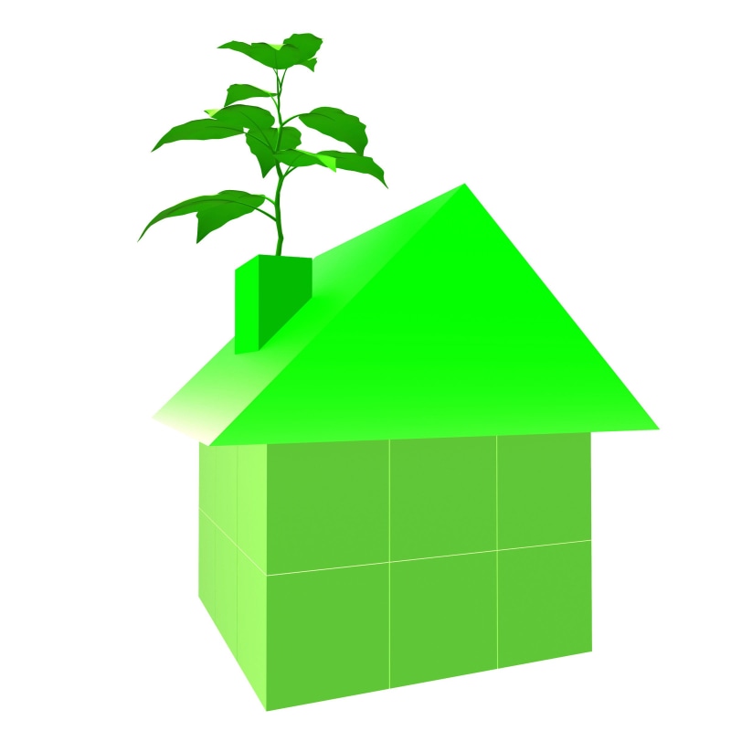 planet, environmental, recycled, green, building, leaf, nature, eco-friendly, powered, house, development, ecology, habitation, household, 1080P, friendly