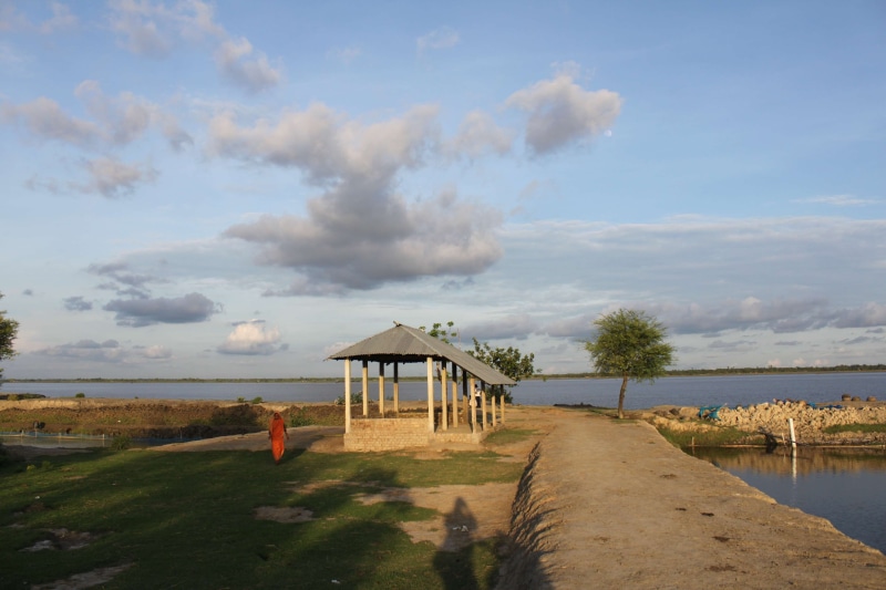 plant, building, rural, river, fisherman, water, architecture, nature, bangladesh, no people, built structure, village, tree, paddy rice, building exterior
