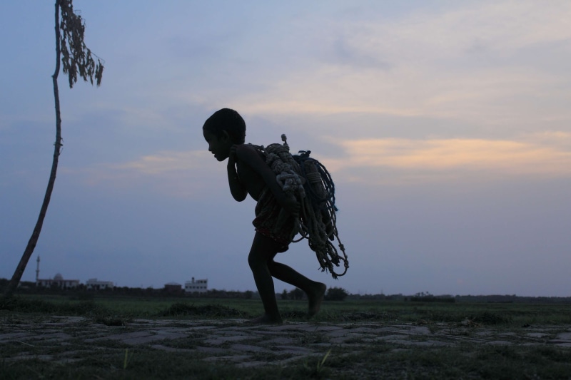 government, silhouette, 4K, flower, field, boy at sunset, village, tree, outdoors, art and craft, sky, full length, military, nature, human representation
