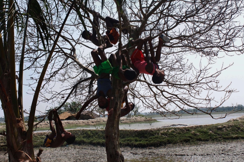 lifestyles, canal, bangladesh, sky, village, one person, tree, flower, leisure activity, day, nature, holding, plant, field, bow sport, bare tree, branch