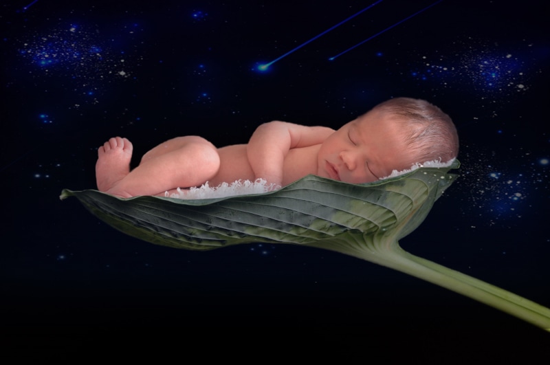 one Person, indoors, space, illustration, sleeping, young, newborn baby, innocence, full length, green, babyhood, childhood, beginnings, relaxation, child