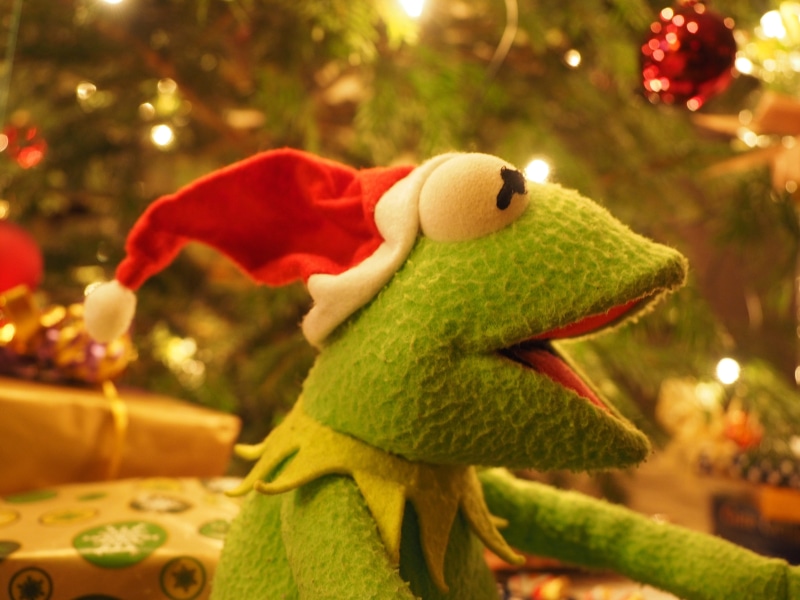 santa claus, tree, christmas, holiday, frog, 4K, gift, christmas ornament, good mood, representation, stuffed toy, funny, nature, decoration, childhood