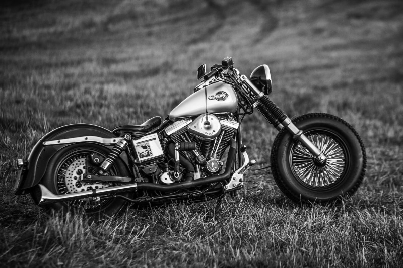 form, plant, design, mode of transportation, single object, day, silver, chrome, metal, childhood, selective focus, focus on foreground, nature, transportation