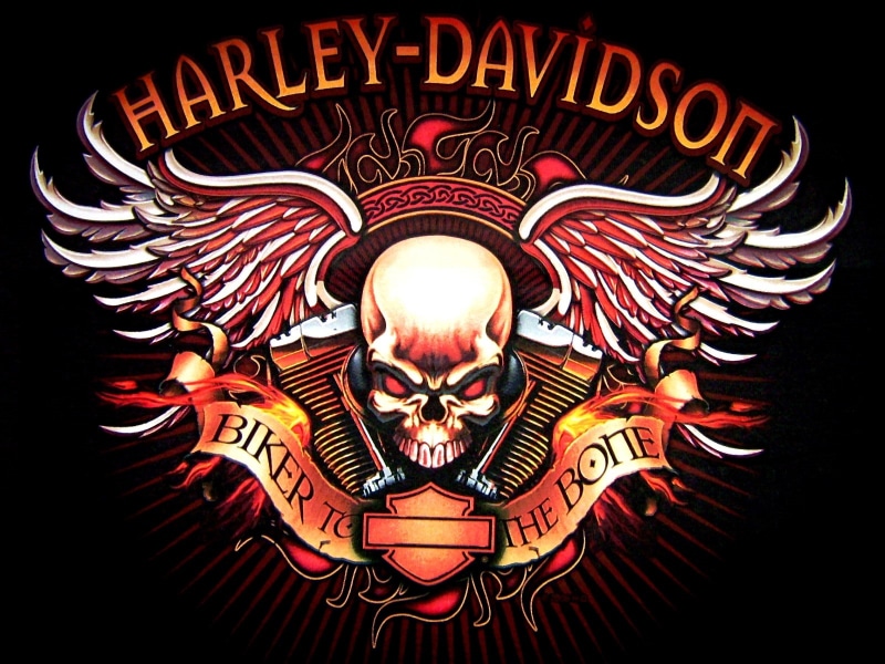motorcycle, electric lamp, illuminated, human representation, one person, skull, front view, representation, lighting equipment, Harley, architecture, western script