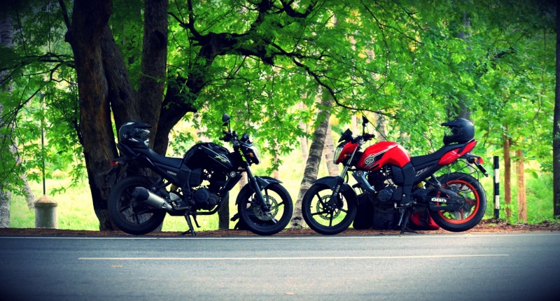 helmet, motorcycle, yamaha fzs, real people, crash helmet, 4K, plant, men, mode of transportation, tree, nature, trunk, red and black, road, travel, day
