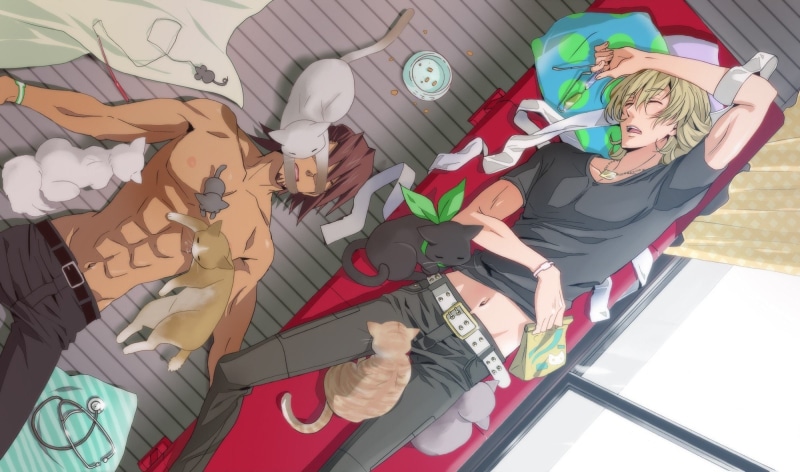 1080P, sleeping, bunny, tiger, yaoi, anime, boys, shounen ai, cats