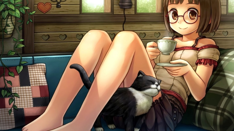 anime, original characters, cup, glasses, meganekko, 1080P, cat, anime girls, couch