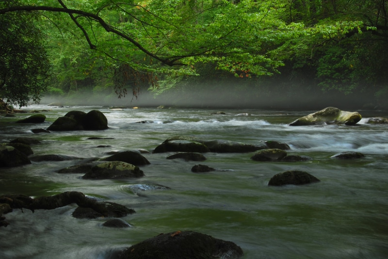 tree, 溪, mist, outdoors, rocks, nature, 雾, waterfall, rock - Object, stream, scenics, US, Mountain Stream, forest, water, 4K, Great Smoky Mountains  National Park