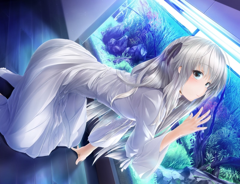 1080P, Sora Kasugano, Anime, Yosuga No Sora