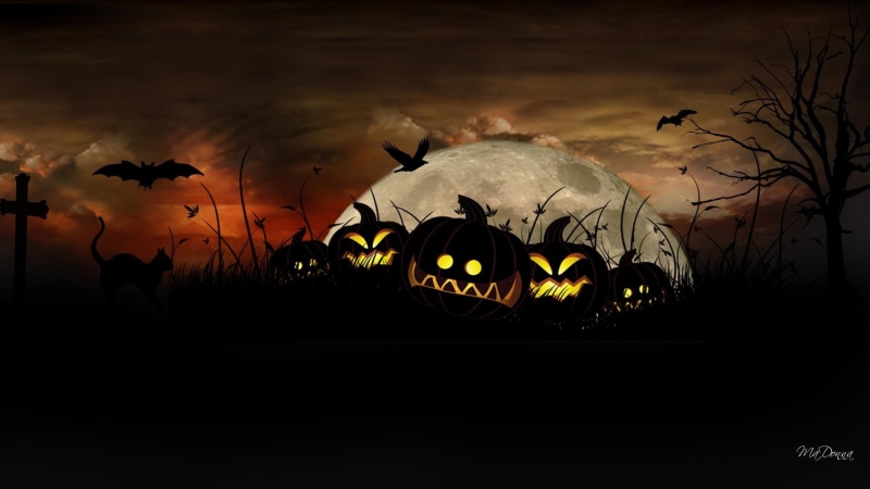 raven, crow, spectral, 1080P, scares, horrifying, halloween, ghastly, terrifying, haunting, uncanny, night, dead tree