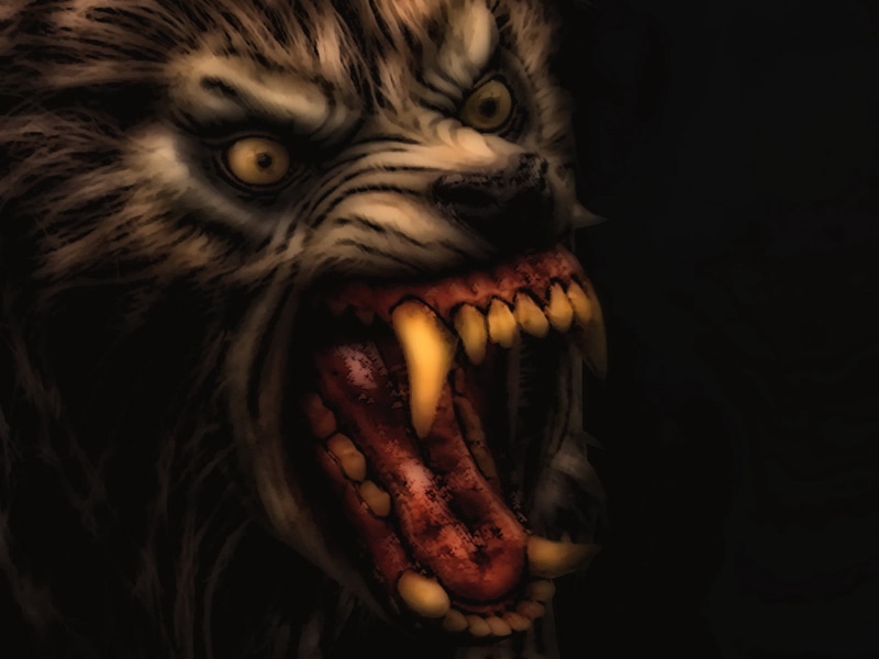 monster - Fictional Character, carnivore, 720P, brown, halloween, danger, animal Teeth, close-up, animals in the wild, undomesticated Cat, anger, fang