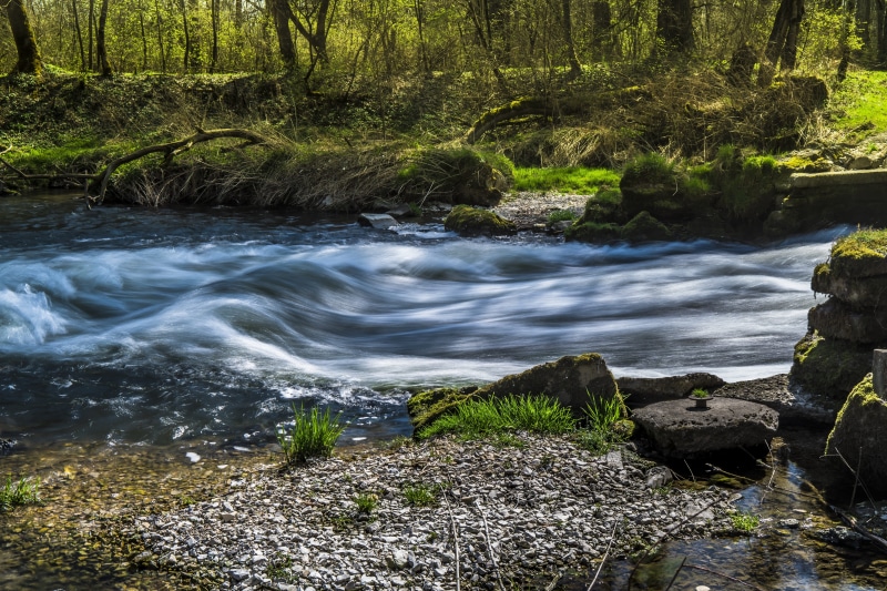 flowing water, forest, Bach, no people, tree, natural stream, power in nature, solid, beauty in nature, green, Murmur, creek, running, rocks, flow, frisch