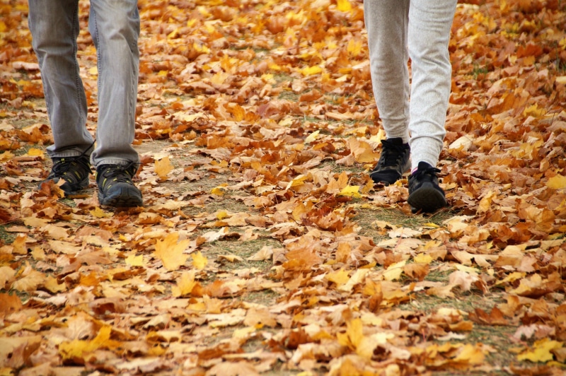 standing, human leg, leaves, feet, alley, land, colored, outdoors, rustles, orange color, human foot, mood, fallen, autumn, shoe, jeans, the trail, real people