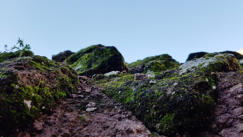 day, mountain, beauty in nature, rock - object, glass, growth, plant, solid, tranquility, environment, tree, wood, fake acid, 2K, war, wasteland, no people