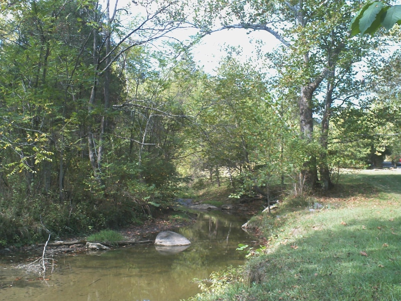 3d and abstract, landscape, water, cedar, va, peaceful, 2K, beautiful and quiet, creek, forest
