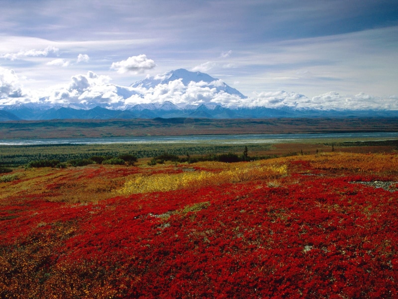 national, alaska, hd, 720P, denali, brilliant, park, colors, landscape, nature