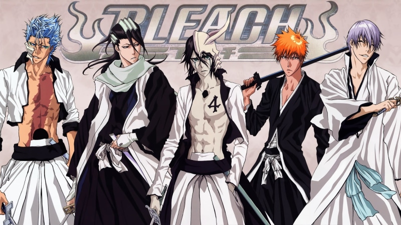 females, people, Shinigami, dress, performing arts event, shihakusho, celebration, manga, 1080P, lifestyles, Byakuya, costume, Shinigami Substitute, Sword