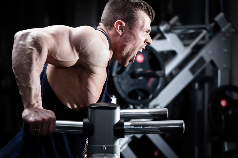 strength, bodybuilder, 4K, triceps, power, scream, muscular arms, workout