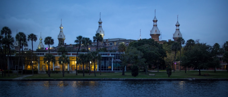 tampa, dusk, nature, sky, city, no people, spire, 4K, travel destinations, travel, tree, spirituality, waterfront, building exterior, building, tower
