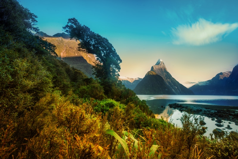 UNESCO world heritage site, range, Nikon d800, reflection, wild, fjord, Milford, new  Zealand, scenic, landscape, flora  lake, scenics, beautiful, tutorial