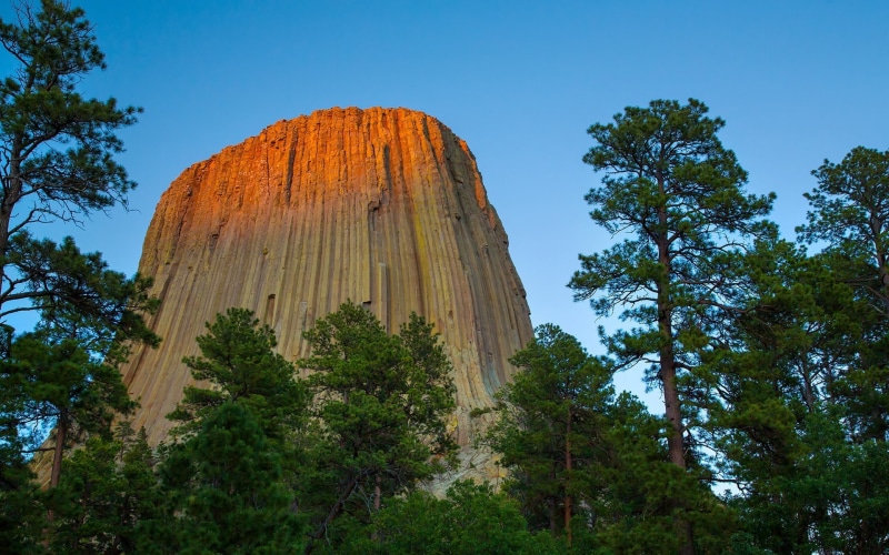 rock formation, Wyoming, forest, monuments, Devils Tower, 1080P, nature