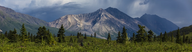 tree, mountains, scenic, travel, pine tree, day, snow, mountain, grass, environment, tranquility, forest, scenics - nature, wilderness, trees, alaska, donoho basin