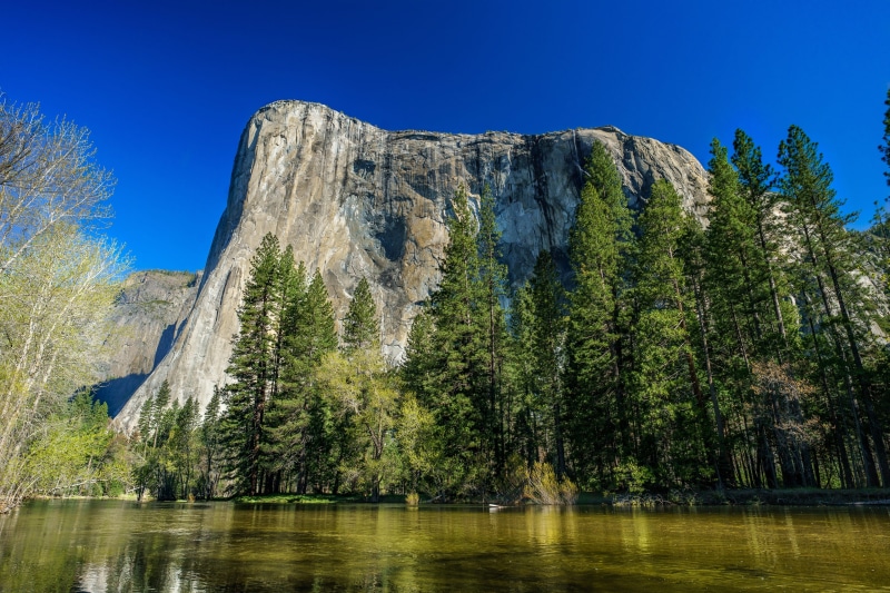 green, Yosemite, sierra, non-urban scene, day, california, beauty in nature, nature, destination, tourism, land, water, daytime, waterfall, united, tree