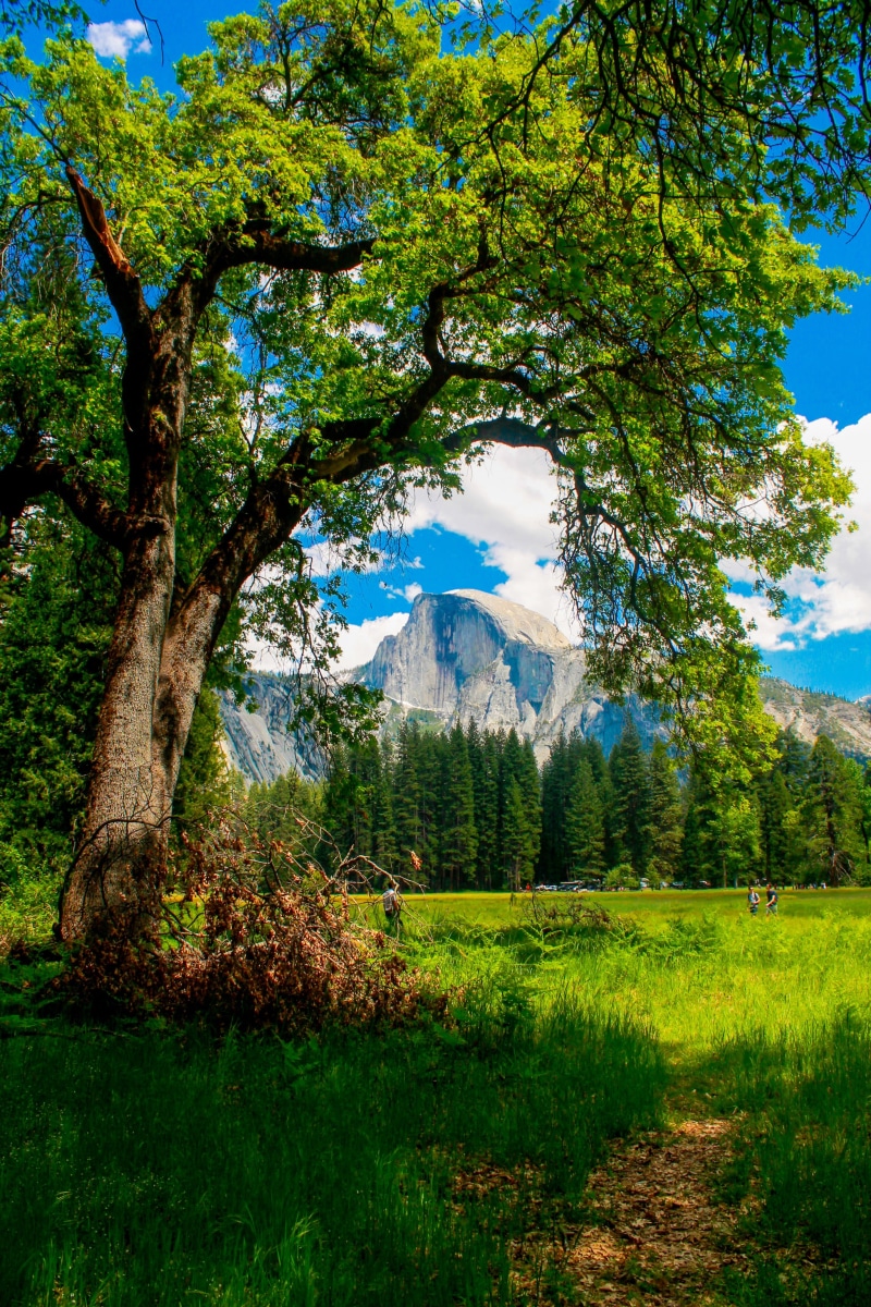 glacier, tranquility, lake, 4K, landmark, tranquil scene, point, half, national, yosemite National Park, north, usa, dome, no People, field, environment