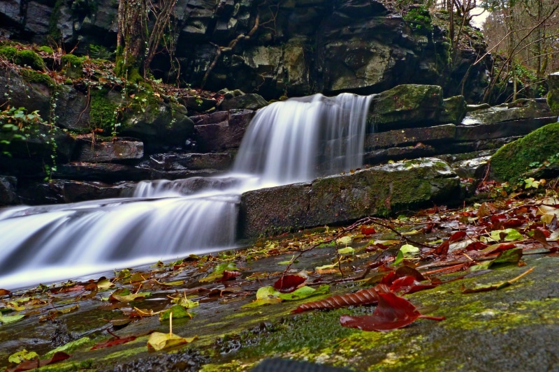 tree, liquid, 4K, plant, falling water, torrent, flowing, daytime, rocks, outdoors, cascade, monolithic part of the waters, solid, swim, flowing water