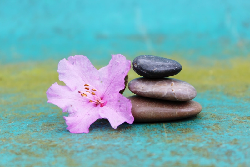 relax, food, petaled, pebble, decorative, rest, harmony, stone - Object, indoors, weathered, food and drink, turquoise, flower head, balance, meditation