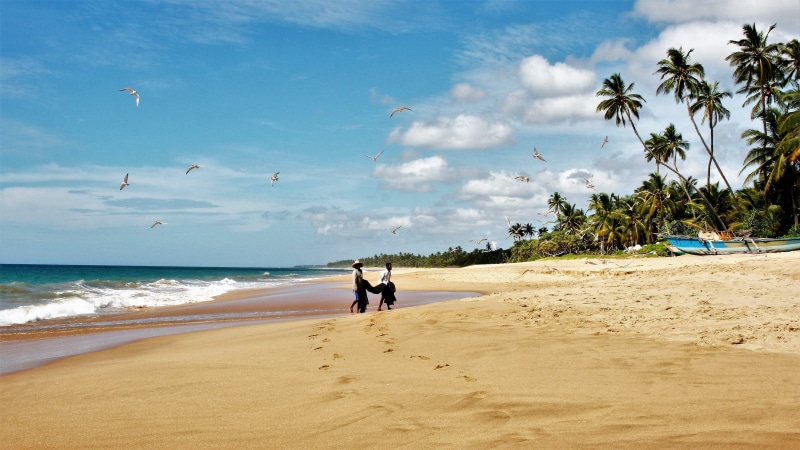 large view, the coast, land, walking, beach, vacations, tree, tourism, sand, the fisherman, sky, island, plant, water, sea, the rapture, travel, at the court of