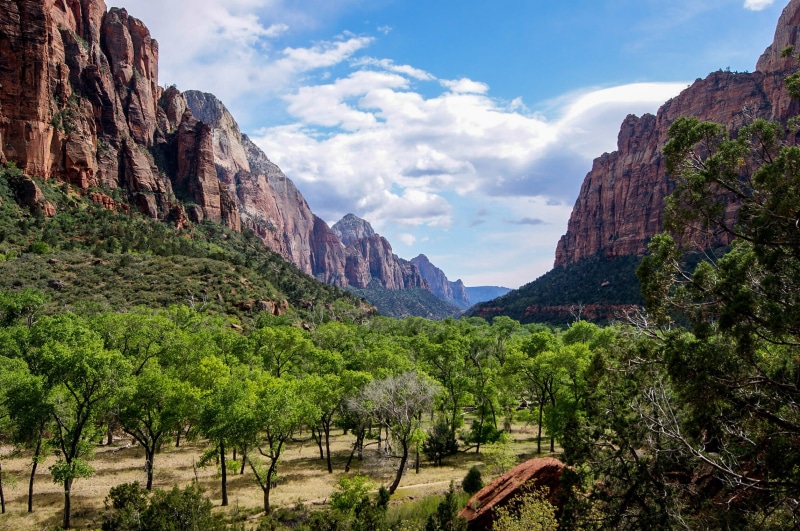 green, valley, tree, no People, zion National Park, national Park, travel Destinations, extreme Terrain, sky, travel, formation, arid climate, tranquil scene